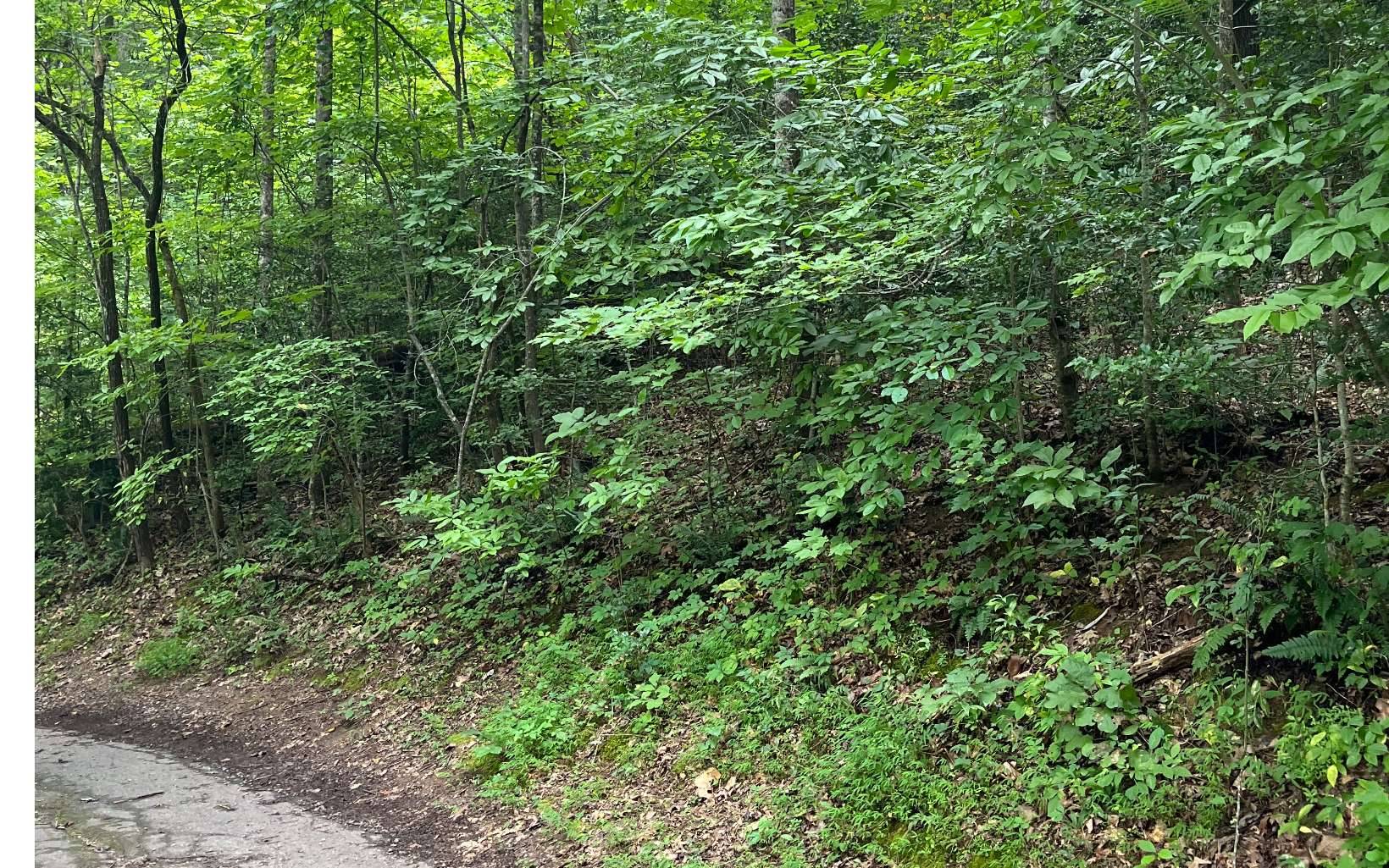 Hayesville, NC 28904,LOT 12 Kilpatrick Point Terrace