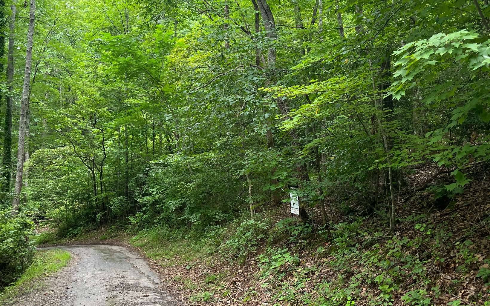 Hayesville, NC 28904,LOT 12 Kilpatrick Point Terrace