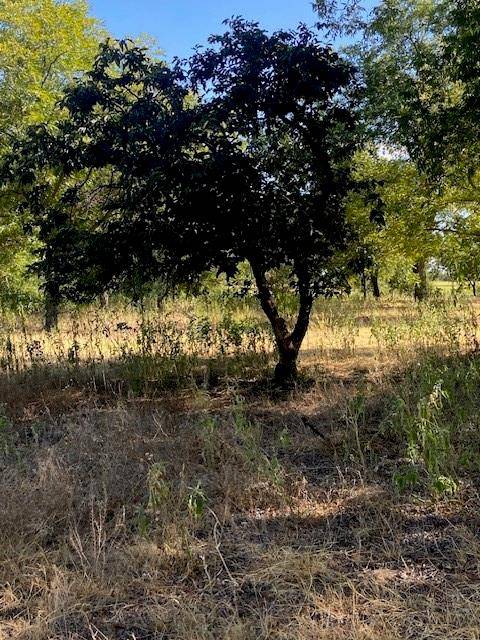 De Leon, TX 76444,TBD County Road 461