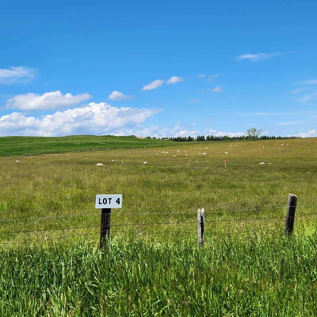 Cardston, AB T0K0K0,501 Highway #Proposed Lot #4