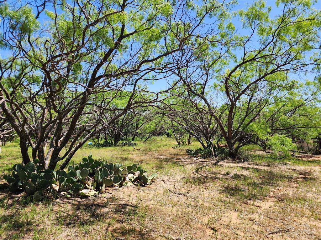 Novice, TX 79538,TBD CR 494 & CR 492