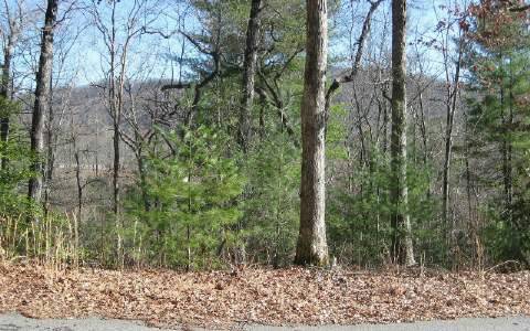 Hayesville, NC 28904,LOT12 Tusquittee Laurel Cove