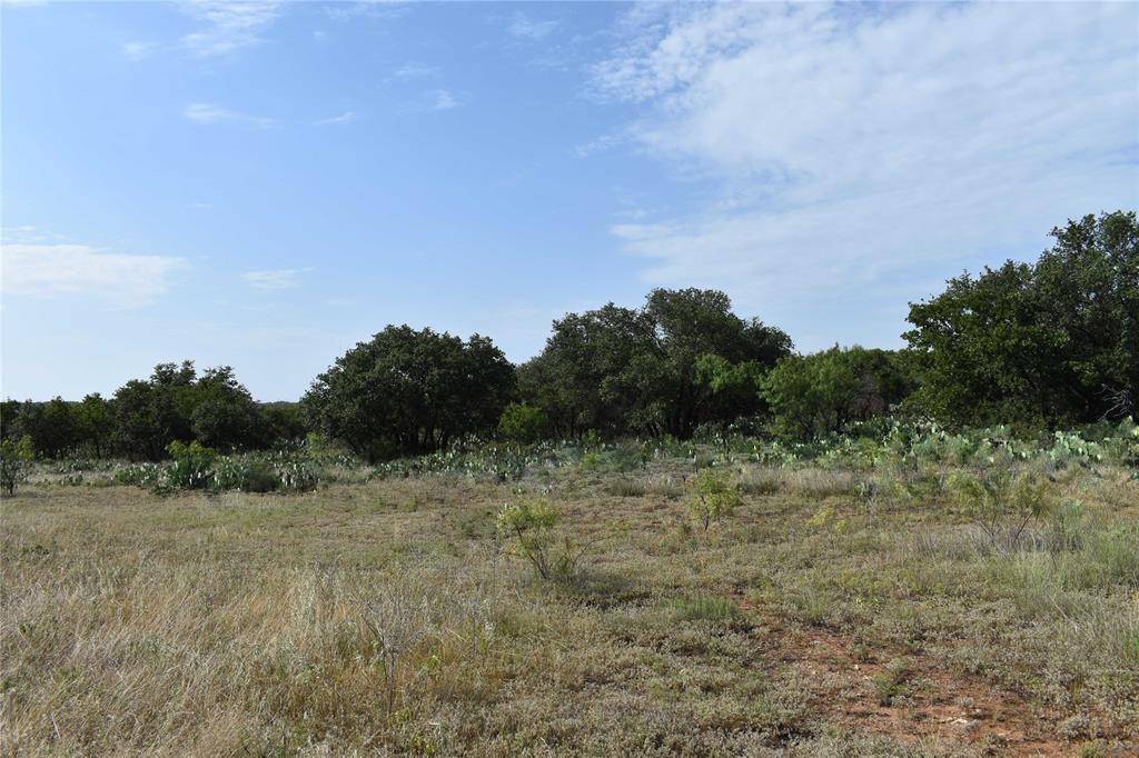 Brady, TX 76825,2360 CR 116