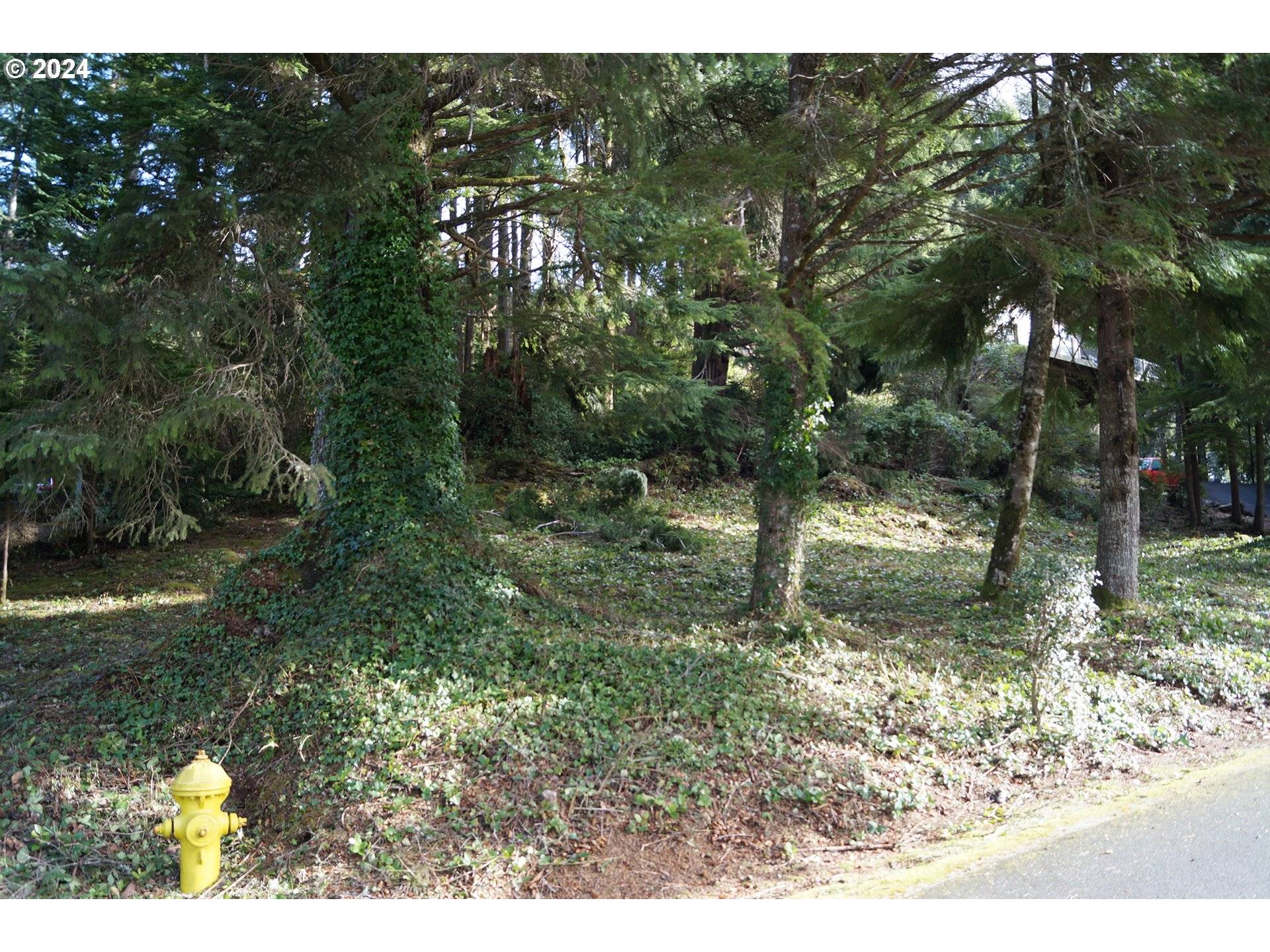 Gleneden Beach, OR 97388,539 FAIRWAY DR