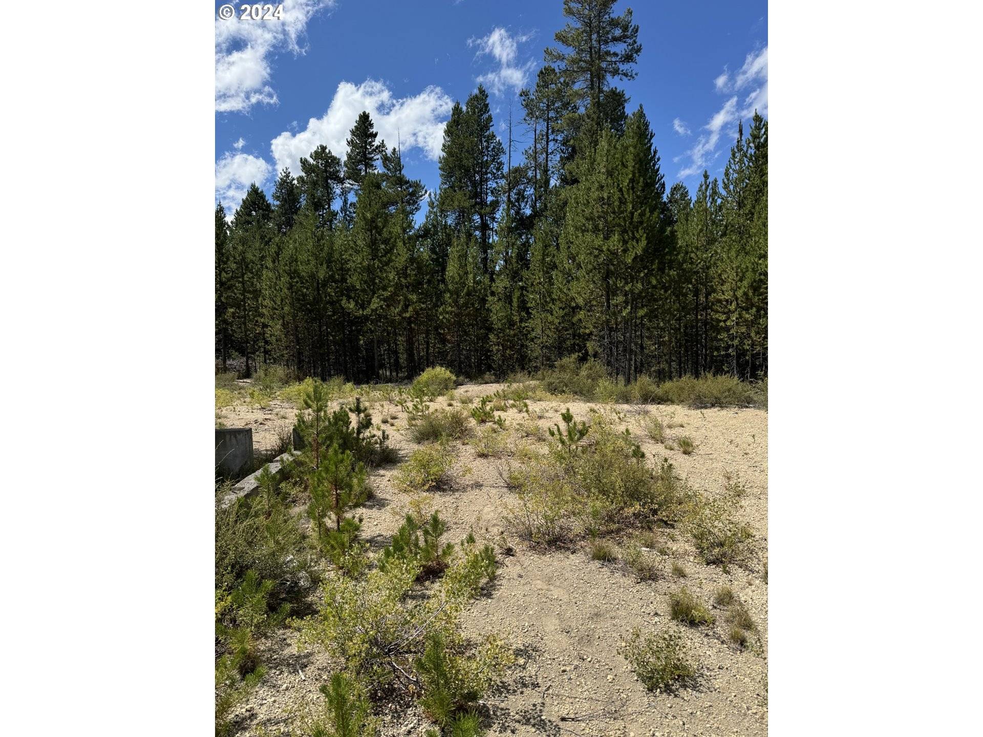 Crescent Lake, OR 97733,Bunny Butte