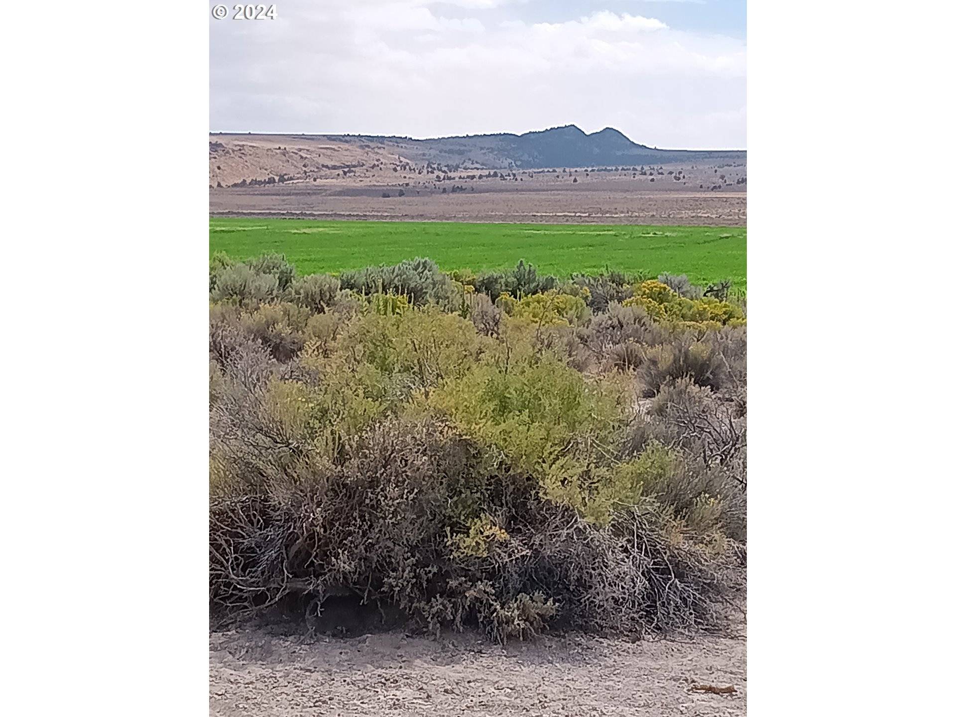 Christmas Valley, OR 97641,Old Lake RD