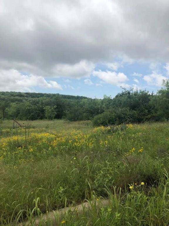 Baird, TX 79504,Lot 5 Saddle Ridge Drive