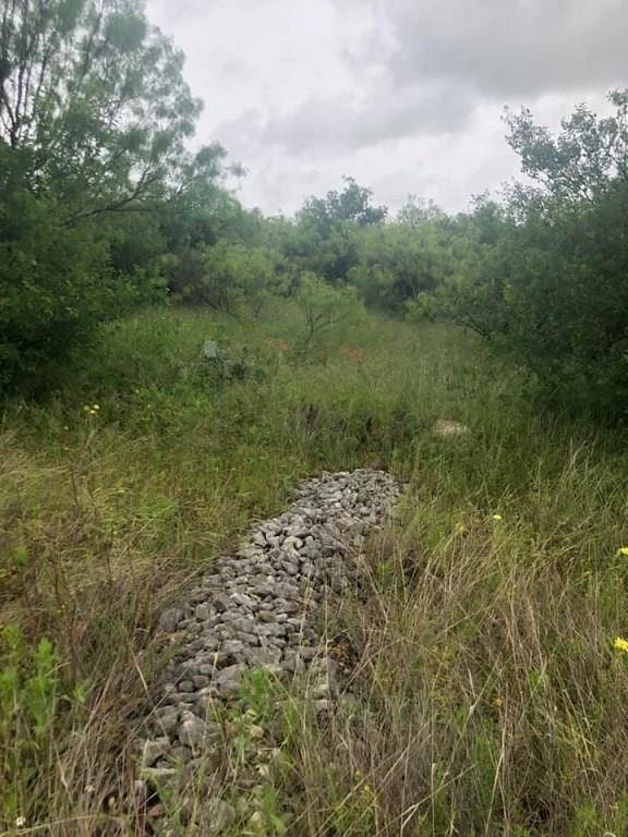 Baird, TX 79504,Lot 5 Saddle Ridge Drive