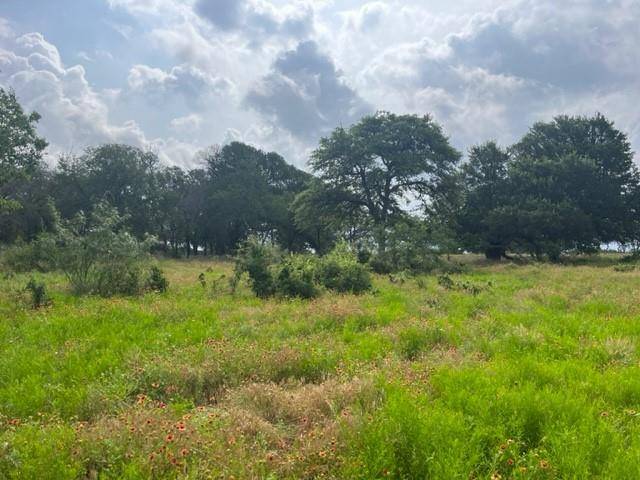 Hico, TX 76457,TBD CR 295 Lot 3