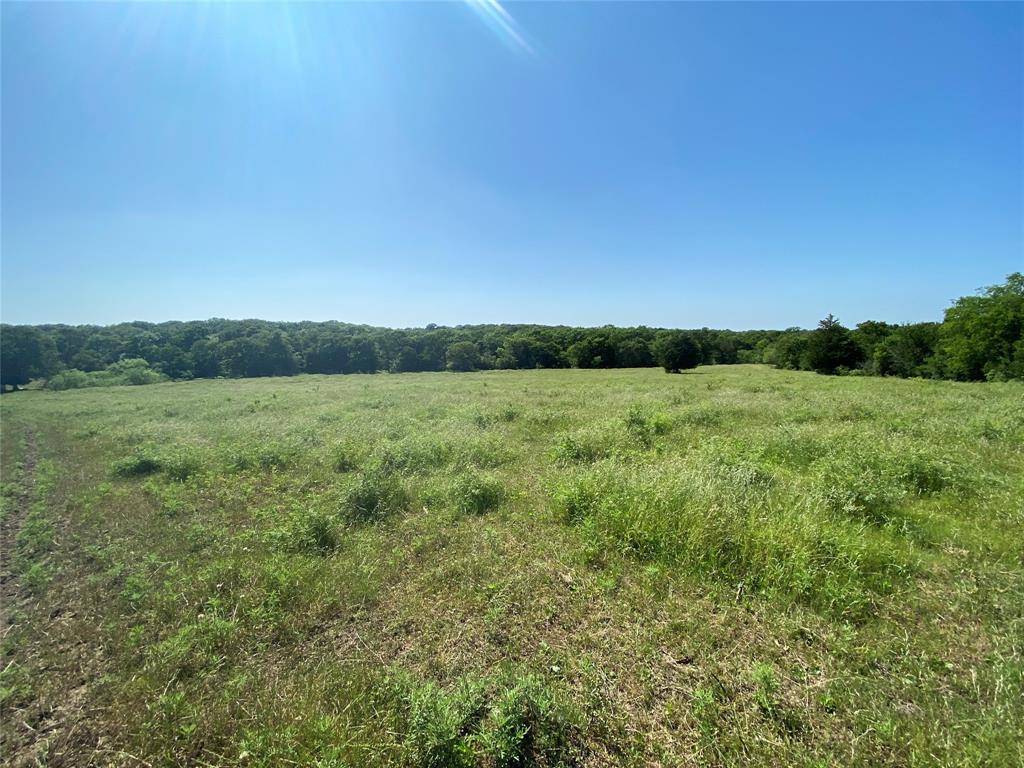 Kerens, TX 75144,TBD NE CR 3040