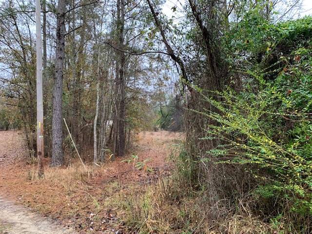 Manning, SC 29102,1060 Hideout Dr