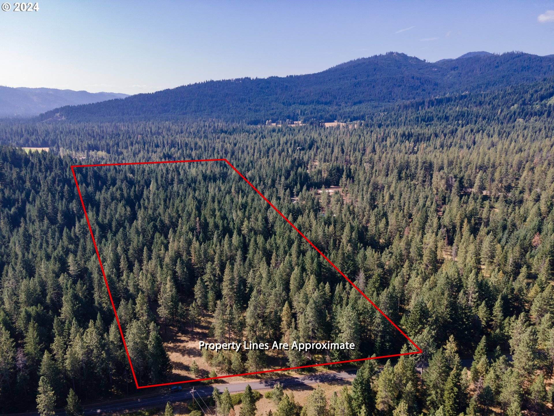 Trout Lake, WA 98650,146 STADELMAN DR