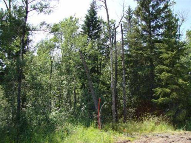 Perch Lake, SK S0M 2G0,Lot 1 Blk 5 LAKESIDE DR