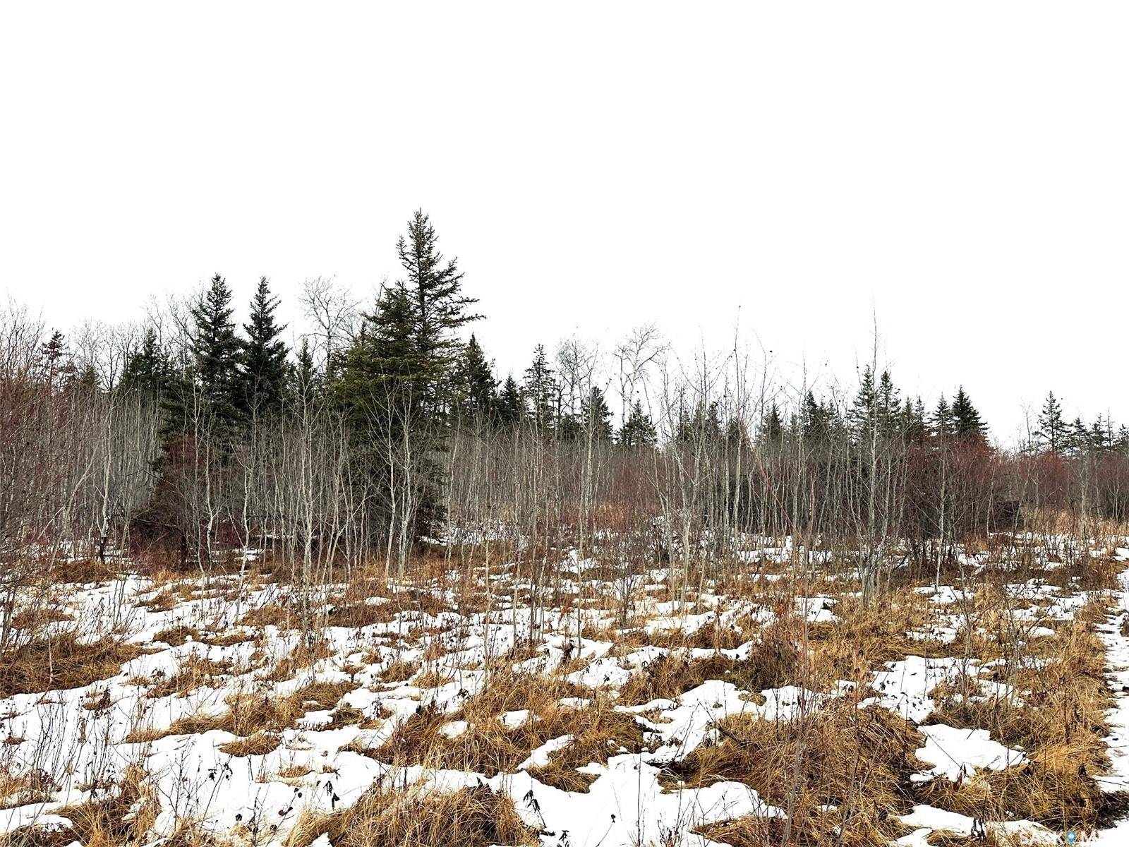 Hudson Bay Rm No. 394, SK S0E 0Y0,Rural Address