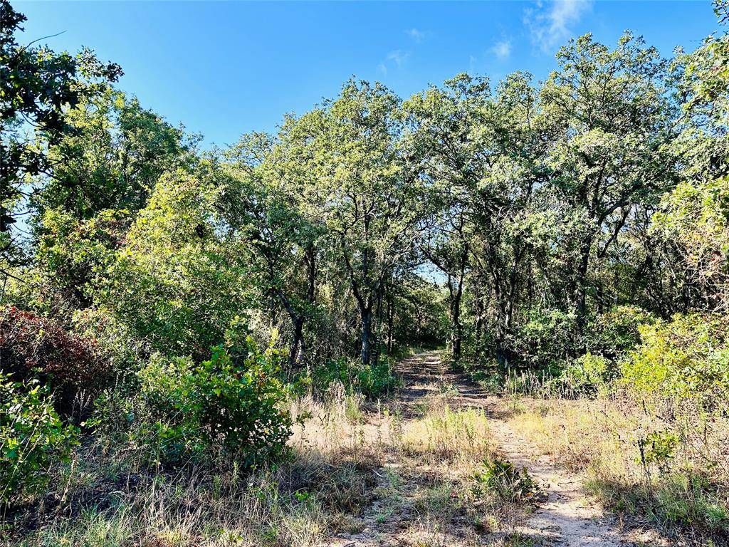 Cisco, TX 76437,TBD CR 419