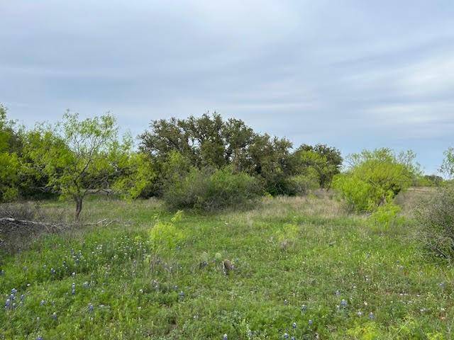 Brookesmith, TX 76801,TBD County Road 225