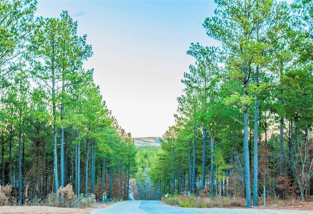 Broken Bow, OK 74728,21 Mayflower Circle