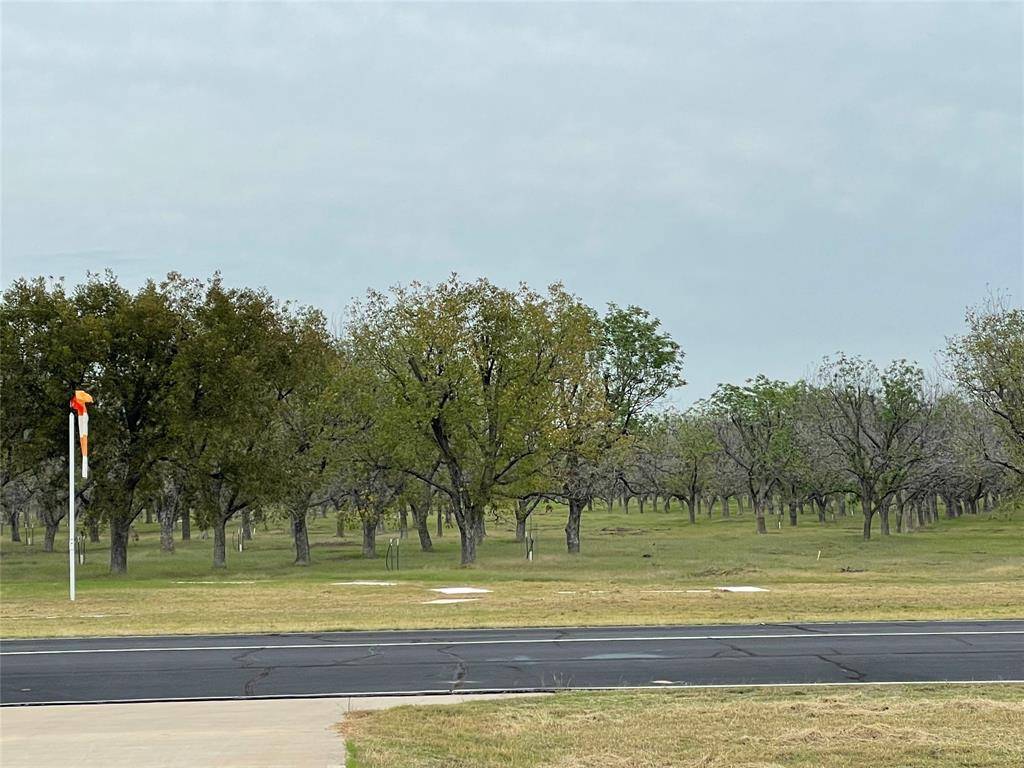 Granbury, TX 76049,973 E Landings Drive