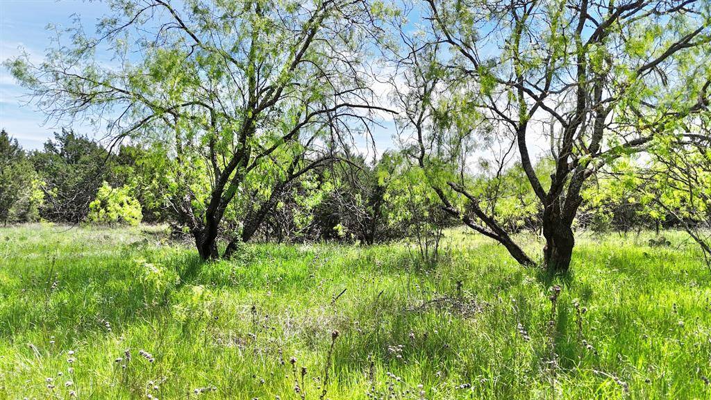 Ranger, TX 76470,TBD County Road 459