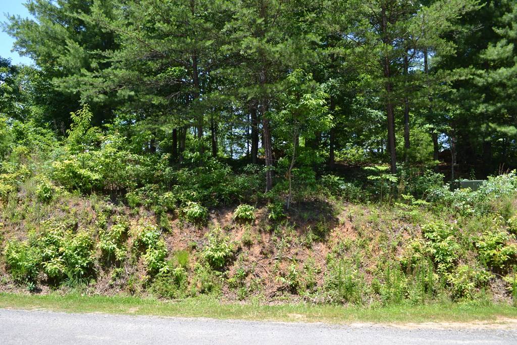 Mineral Bluff, GA 30559,Lot 190 Trails End Way