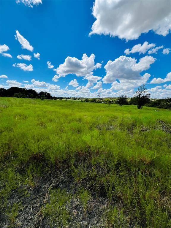 Pottsville, TX 76565,TBD County Road 647