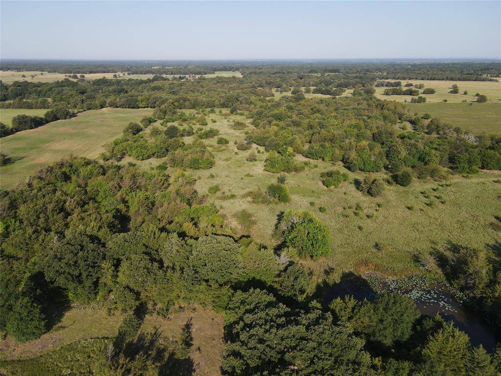 Ivanhoe, TX 75447,TBD #2 County ROAD 2205