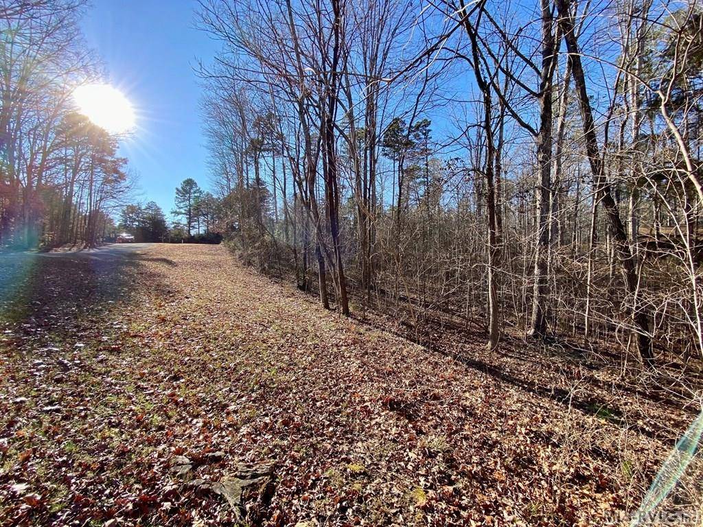 Buffalo Junction, VA 24529,Lot 45 Buffalo Drive