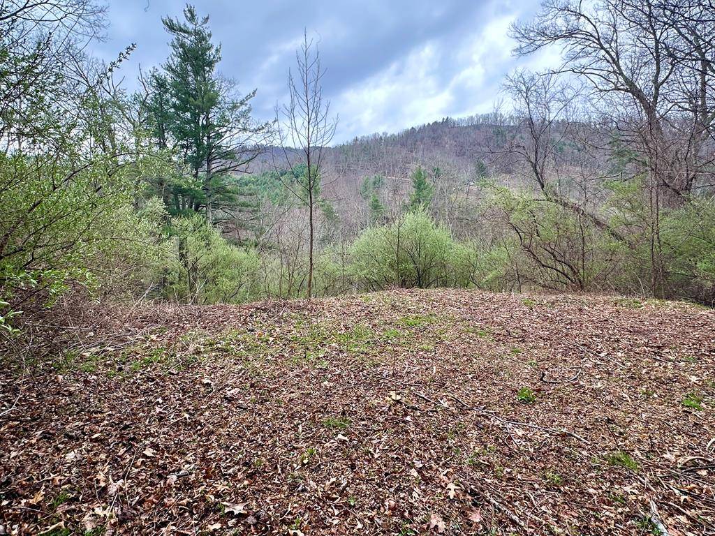 Elk Creek, VA 24326,tbd Spring Valley