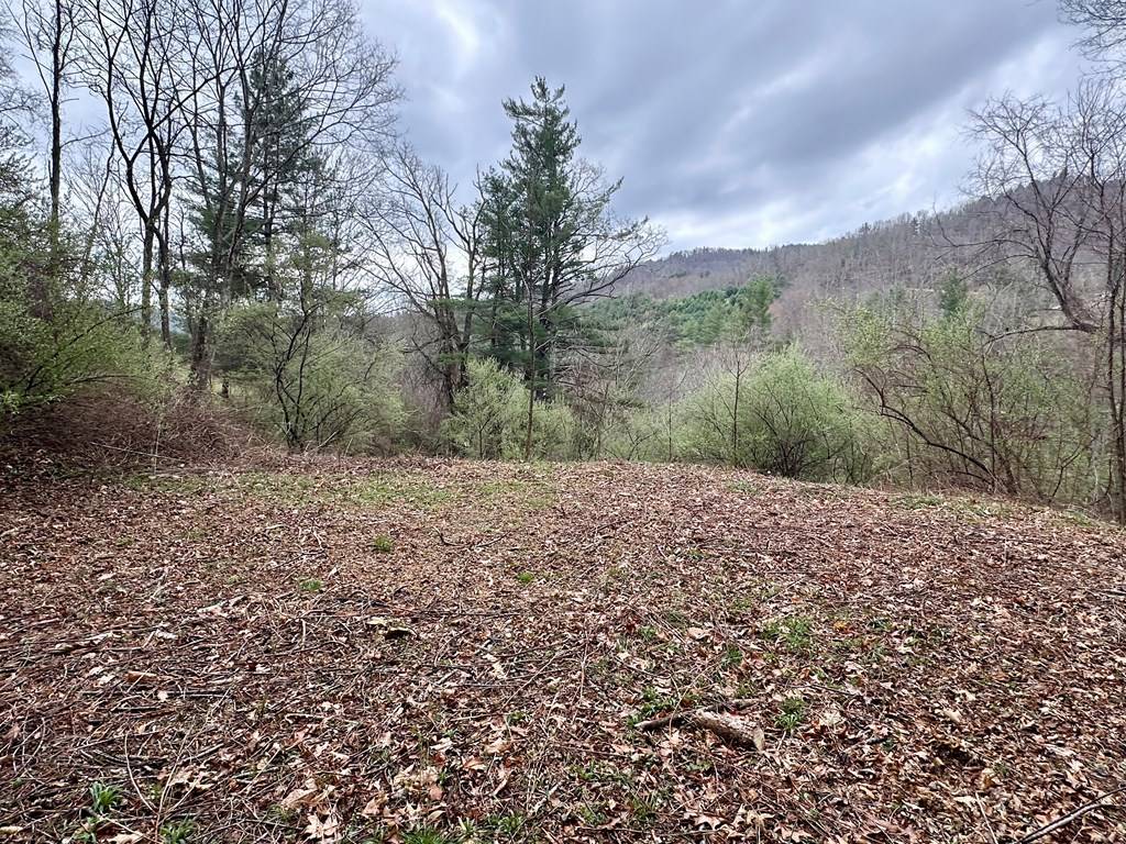 Elk Creek, VA 24326,tbd Spring Valley