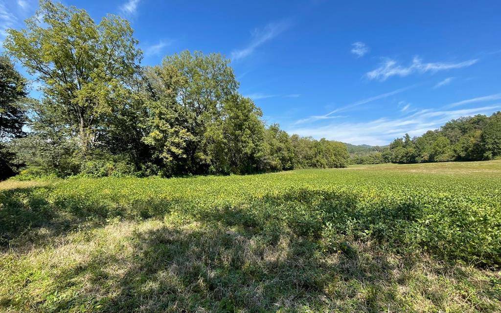 Hayesville, NC 28904,37+ Ac Jarrett Rd