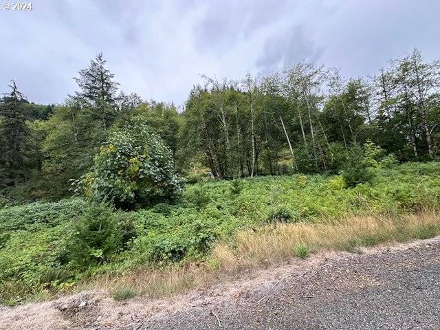 Ariel, WA 98603,2 N Dubois RD