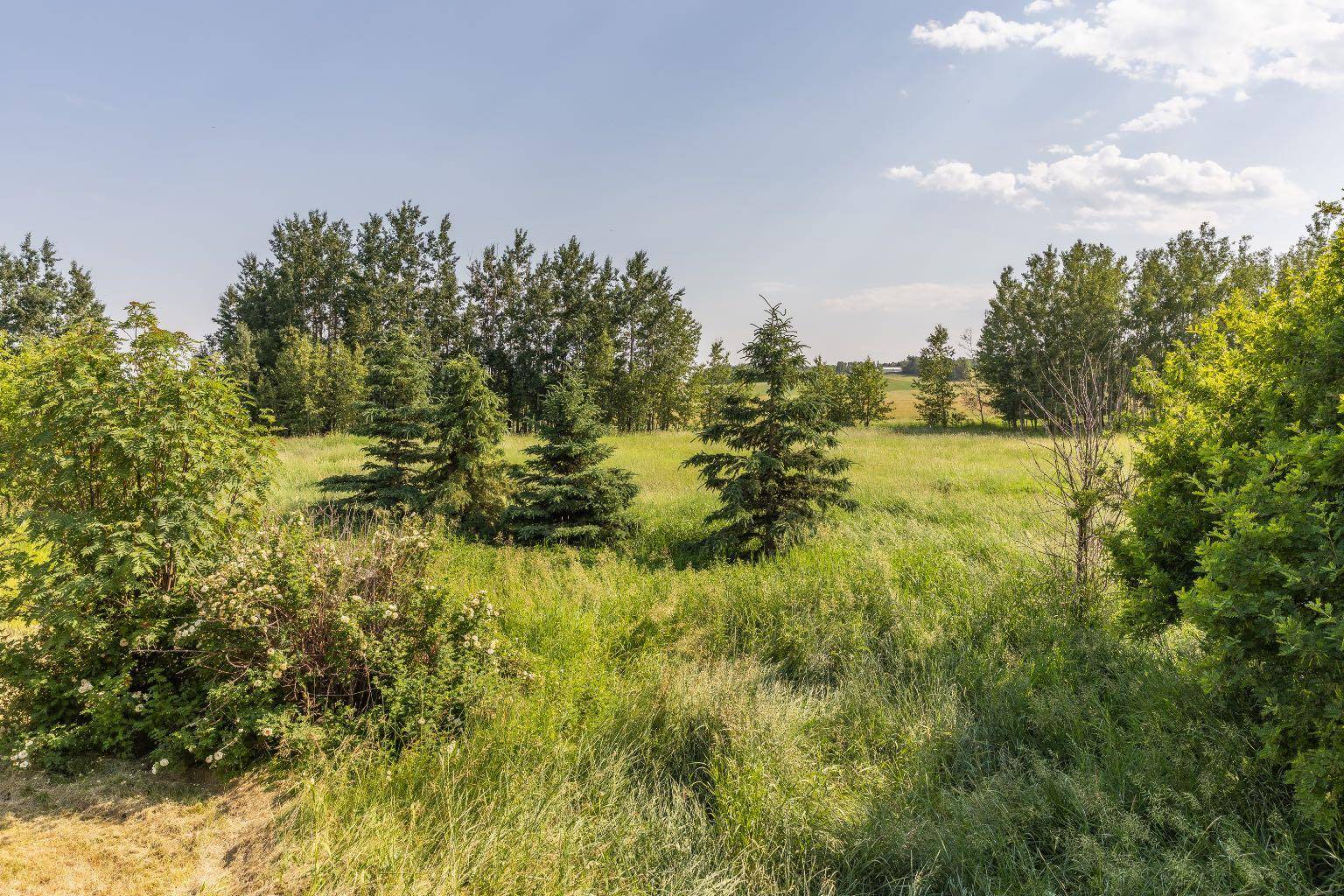 Rural Ponoka County, AB T0C 2J0,Range Road 34 #432048