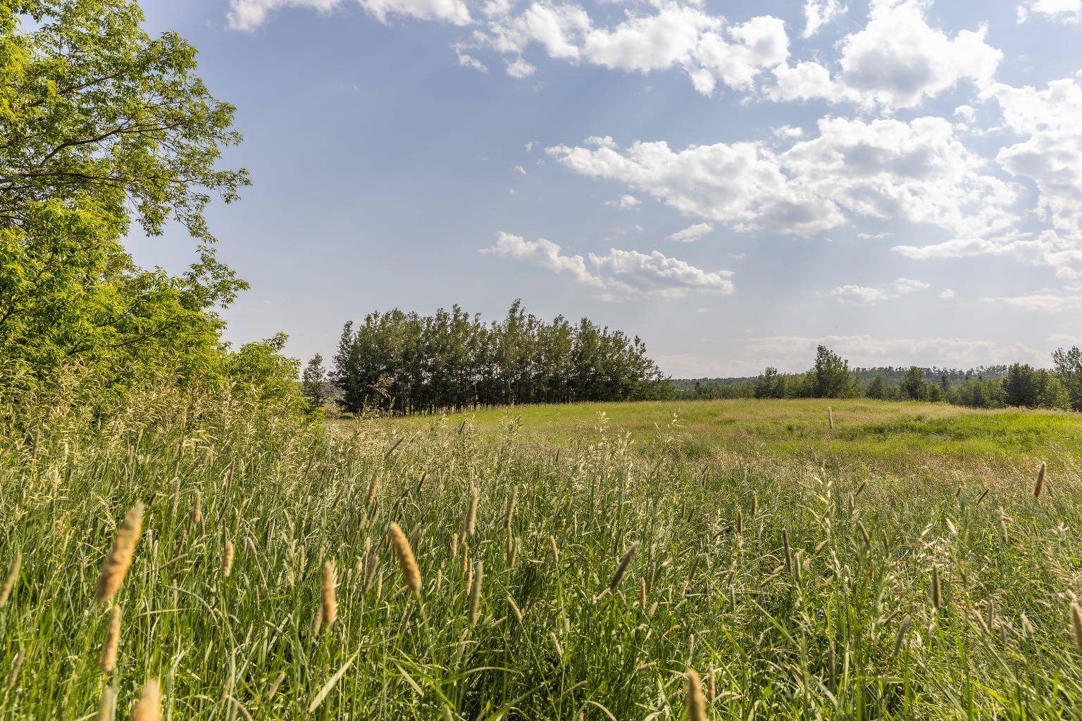 Rural Ponoka County, AB T0C 2J0,Range Road 34 #432048