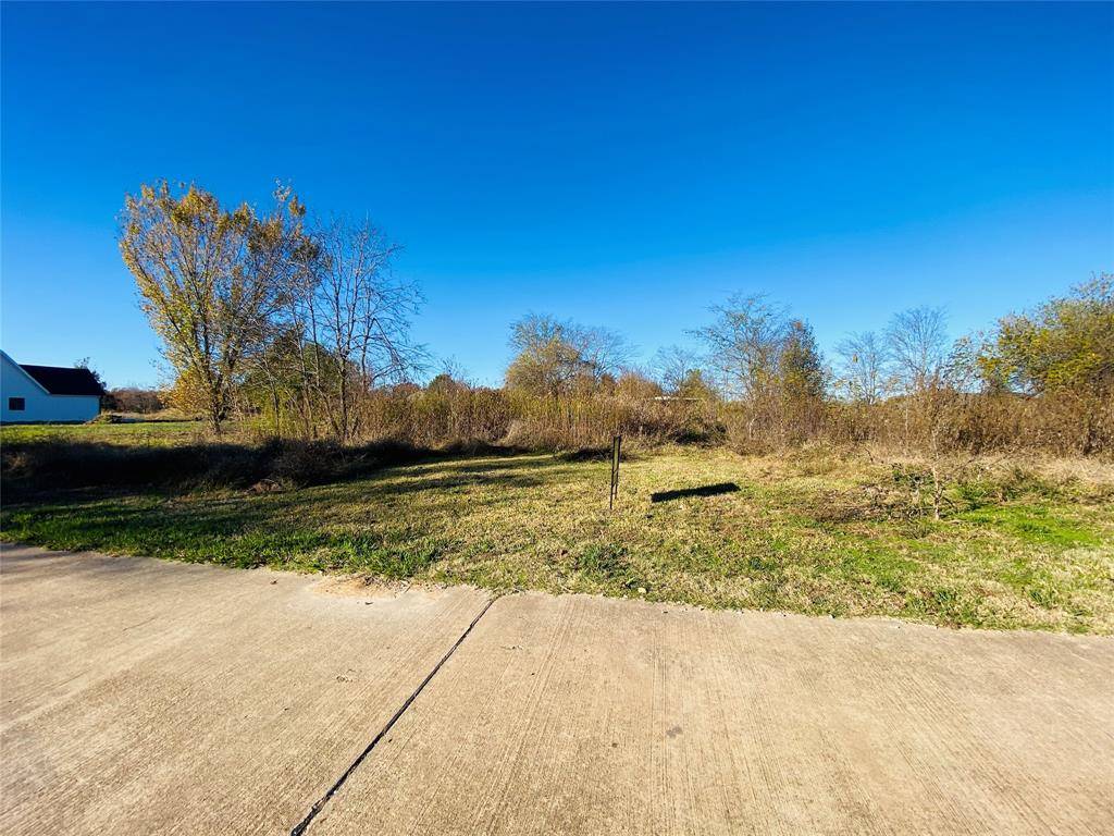 Powderly, TX 75473,TBD 317 Helena Drive