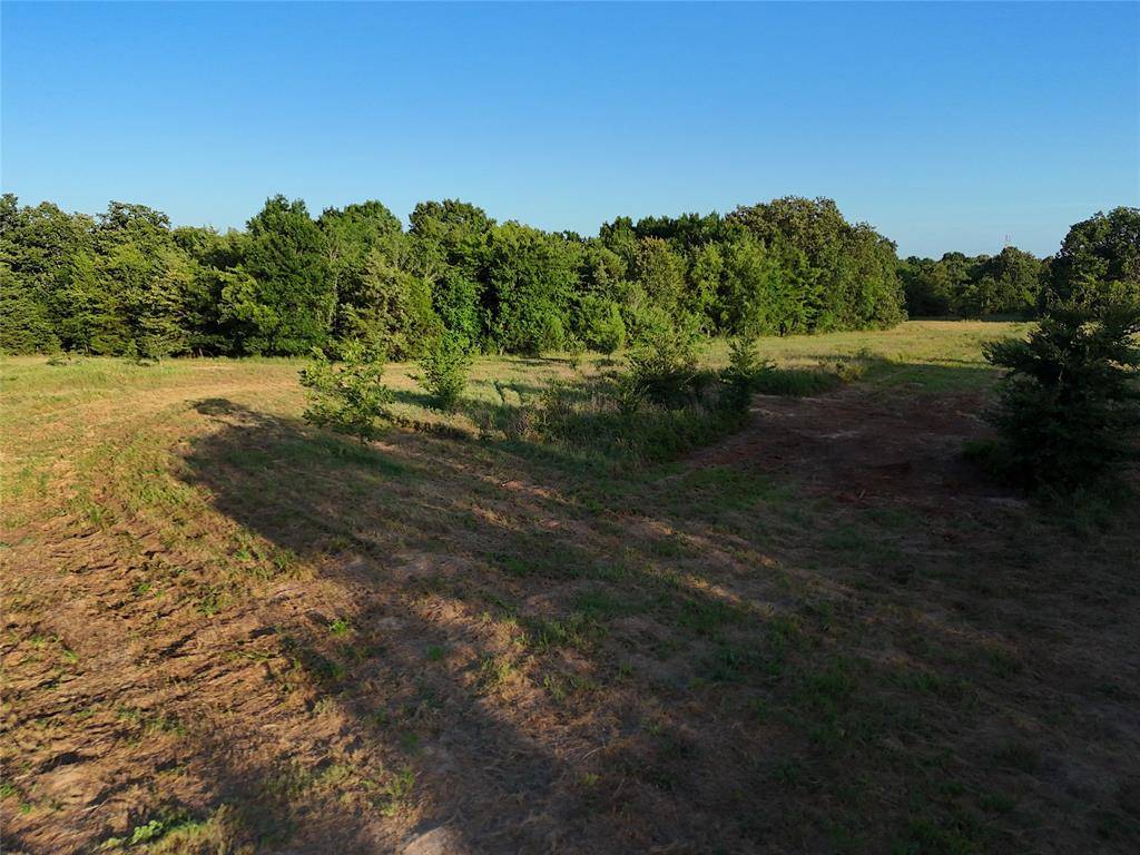 Honey Grove, TX 75446,12 TBD CR 2770