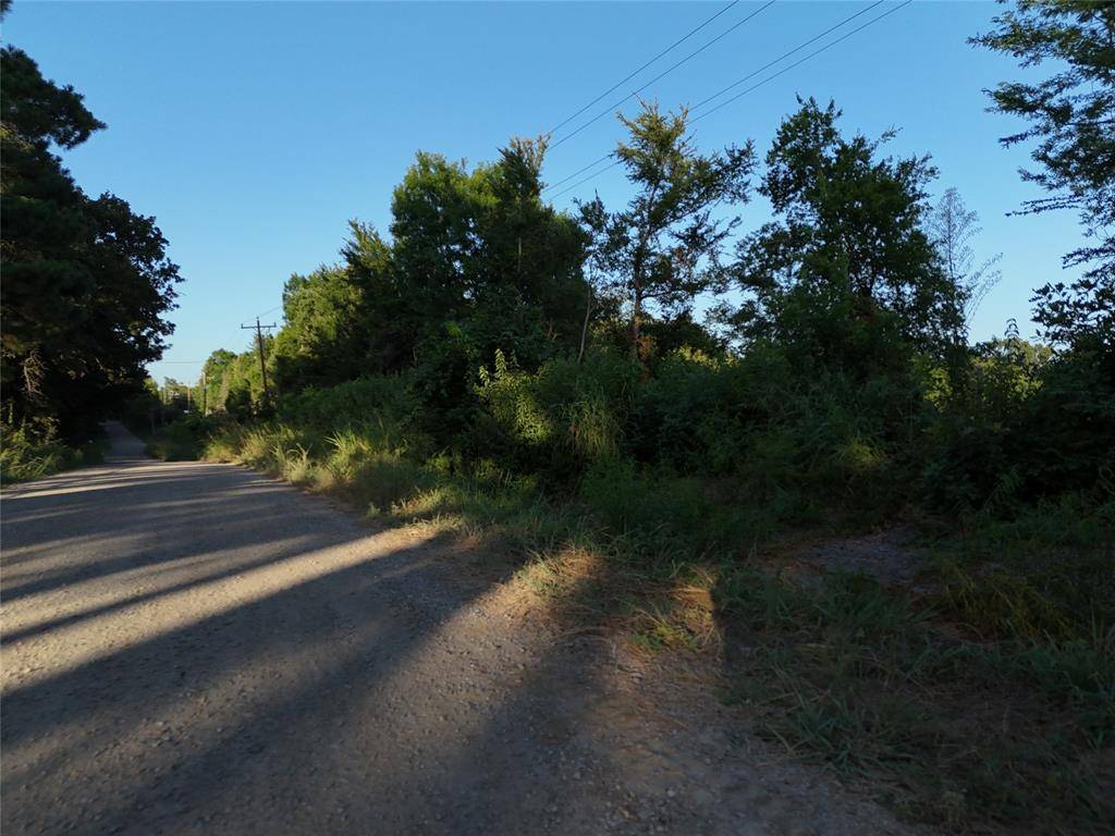 Honey Grove, TX 75446,12 TBD CR 2770