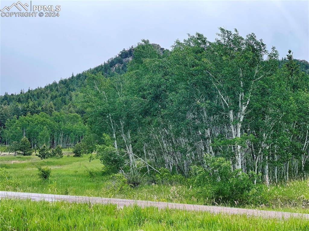 Lake George, CO 80827,7142 County Road 92