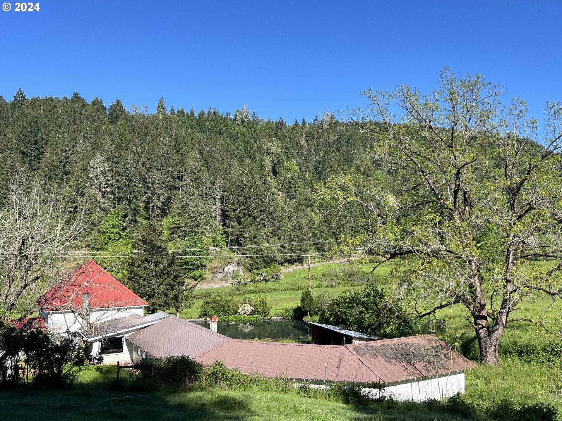 Myrtle Creek, OR 97457,1465 FROZEN CREEK RD