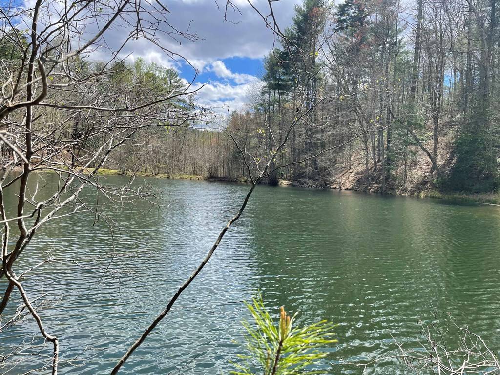 Cherry Log, GA 30522,Lot 42 Hidden Lake Drive