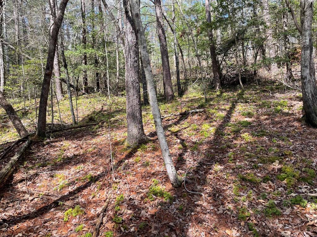 Cherry Log, GA 30522,Lot 42 Hidden Lake Drive