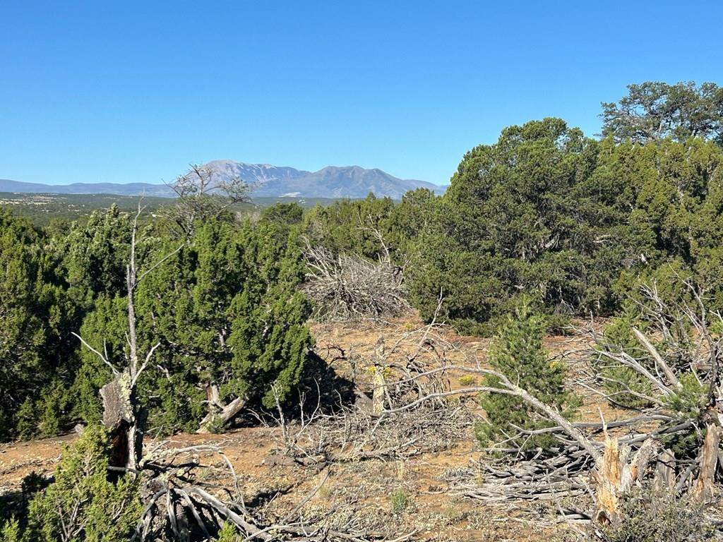 Walsenburg, CO 81089,Lot 12 City Ranch Property