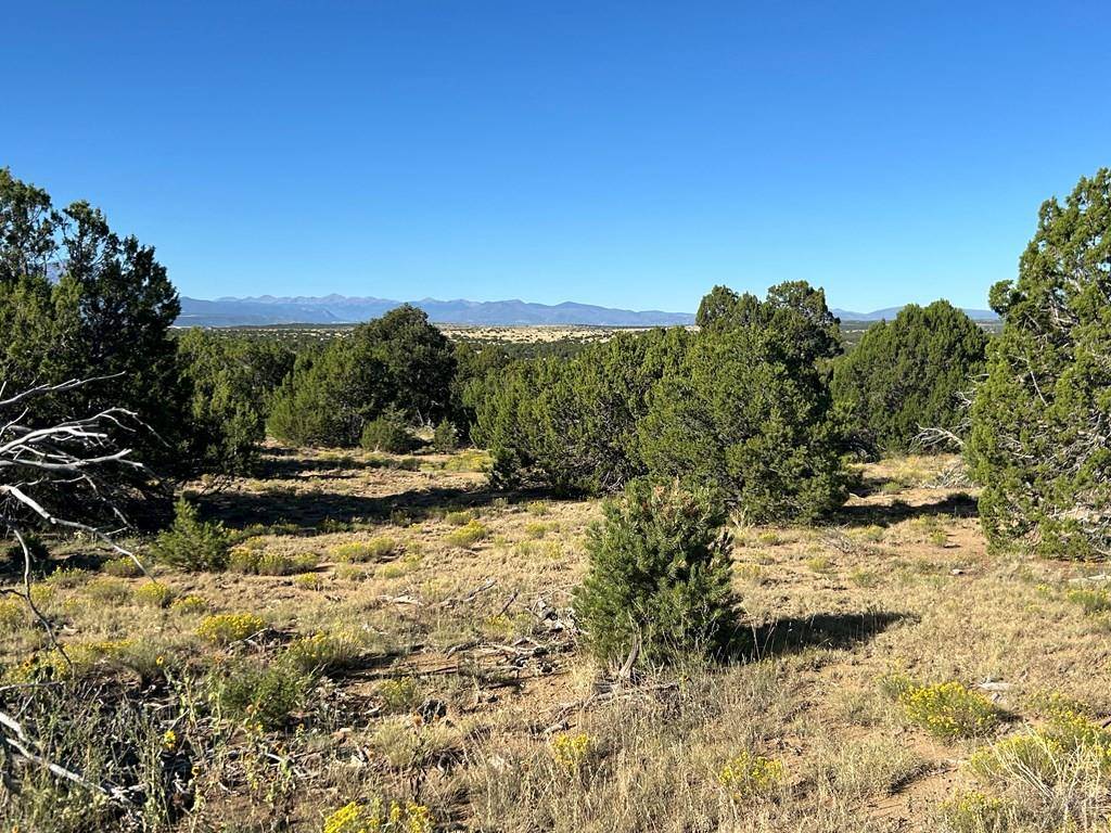 Walsenburg, CO 81089,Lot 12 City Ranch Property