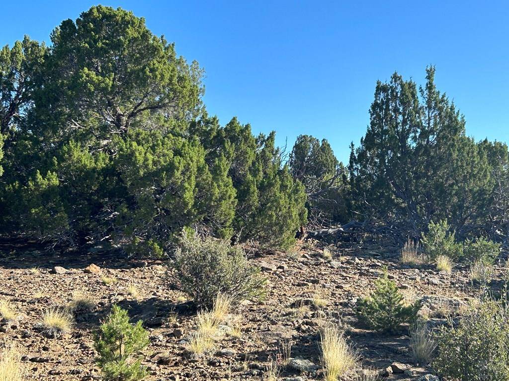 Walsenburg, CO 81089,Lot 12 City Ranch Property