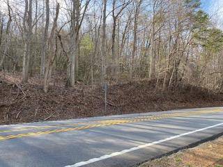 Blairsville, GA 30512,Lot 1 Hwy 129/19 S