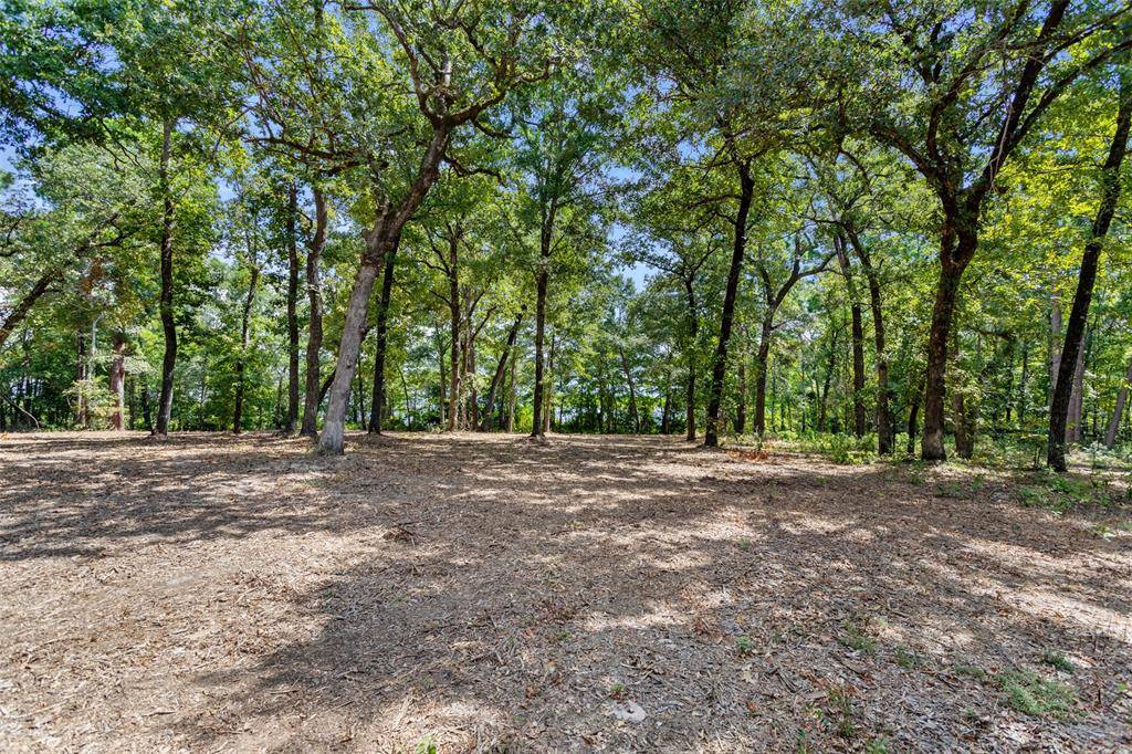 Larue, TX 75770,3256 Shadow Pine Drive