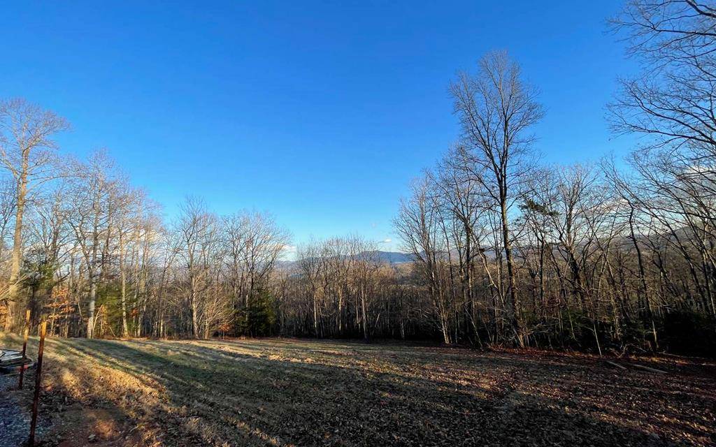 Hayesville, NC 28904,17+ Acre Matheson Cove Road