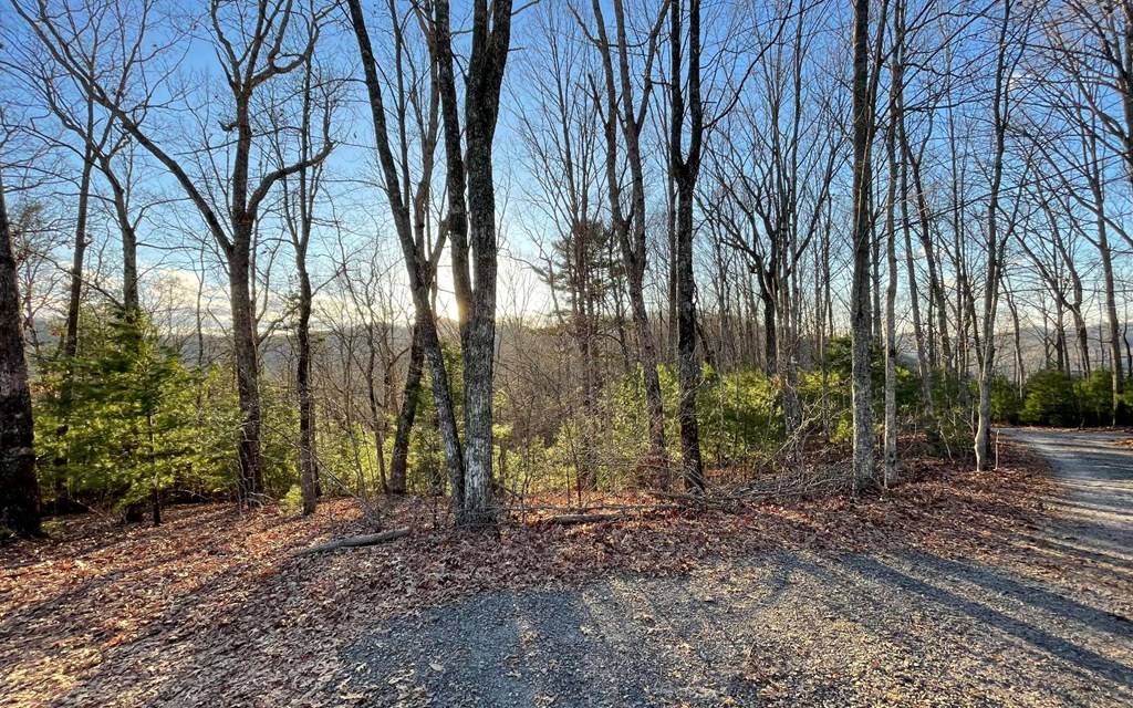 Hayesville, NC 28904,17+ Acre Matheson Cove Road