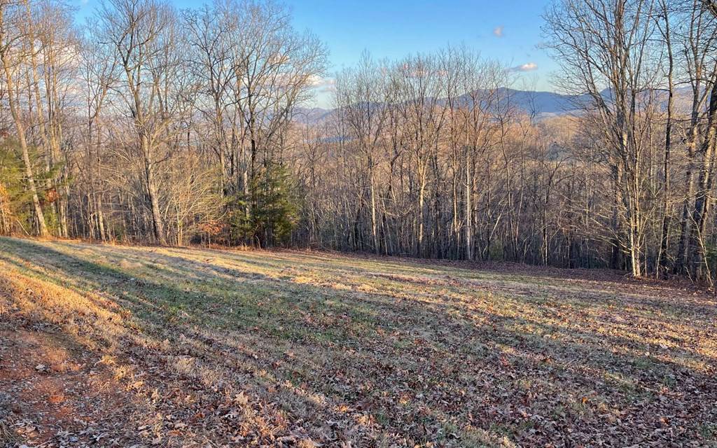 Hayesville, NC 28904,17+ Acre Matheson Cove Road