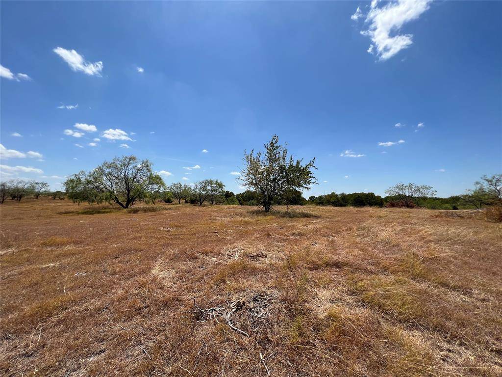 Hubbard, TX 76648,TBD St Hwy 31 W #Tract 4