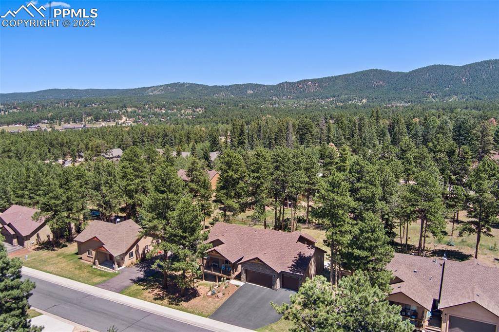 Woodland Park, CO 80863,1187 Ptarmigan DR